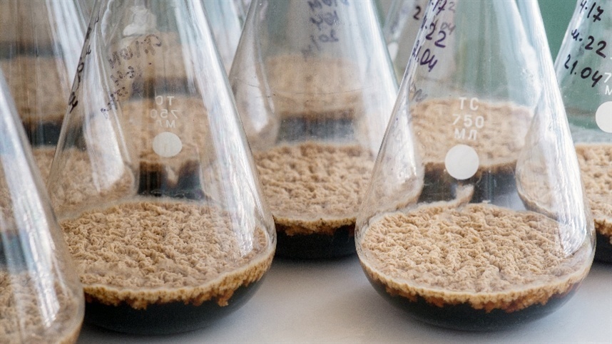 Mercado biológico avança, mas enfrenta barreiras