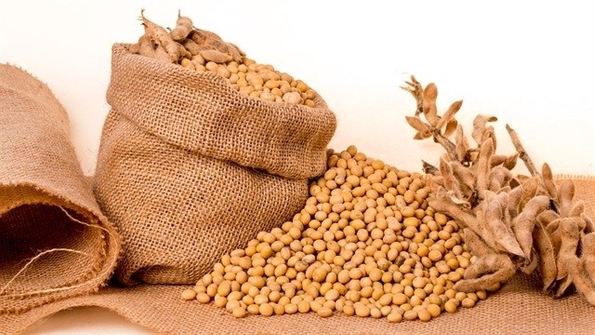 Soja recua e mercado trava com frete nas alturas