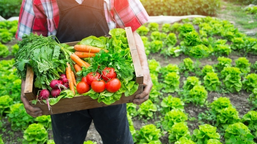 Pronaf amplia lista de produtos com desconto em abril