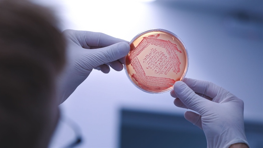 Novo bioherbicida promete “mudar o jogo”