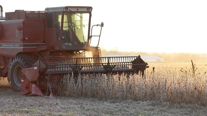Erro no calendário pode derrubar a produção