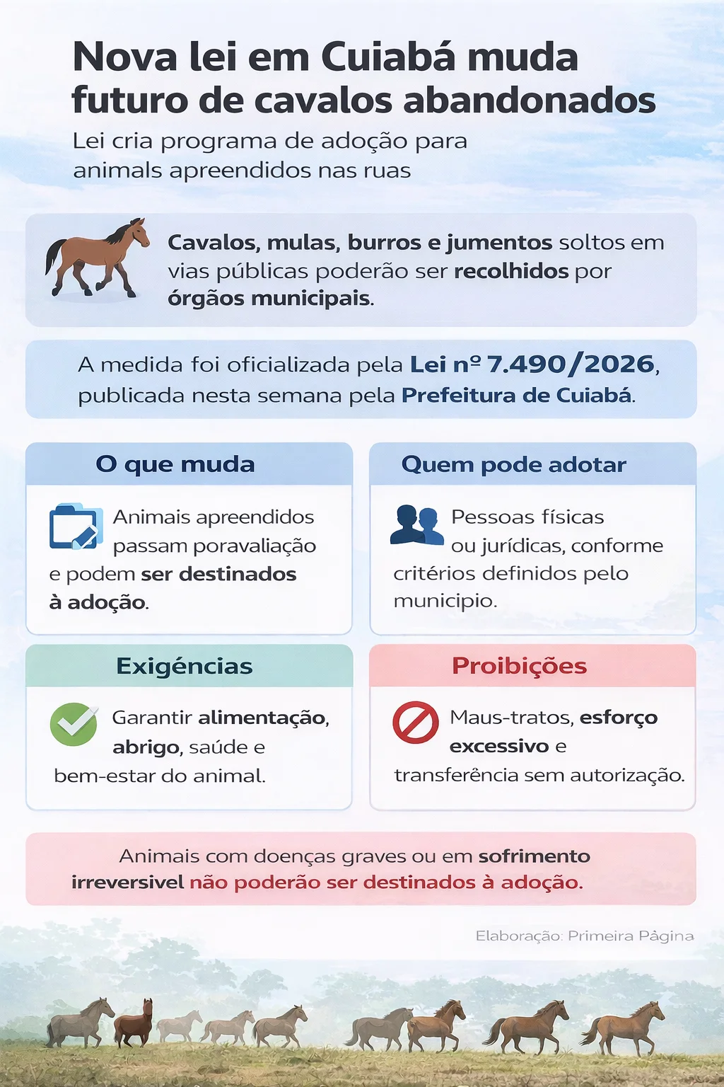 cavalos adocao 3