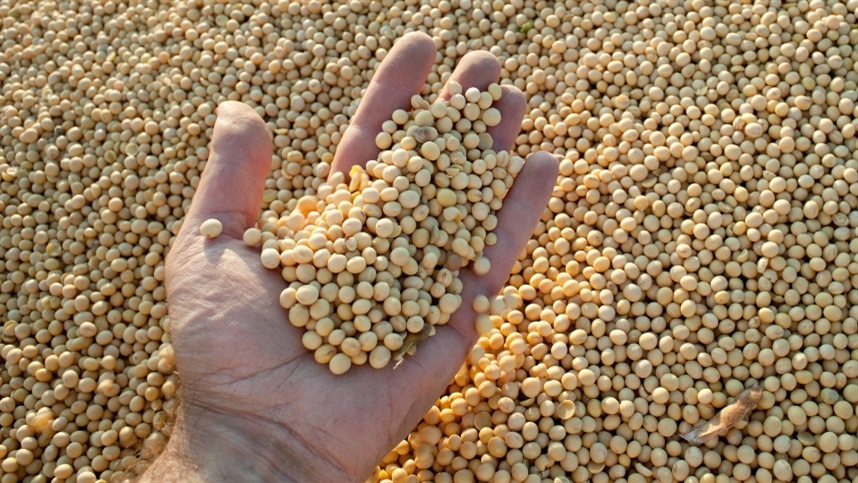 Mercados agrícolas reagem a tensões externas