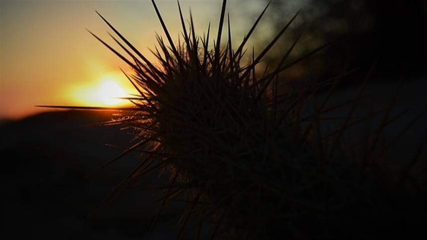 Como será o clima em abril?