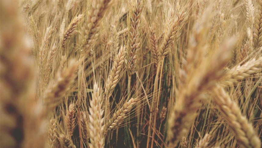 Mercados disparam e tensão global mexe com preços