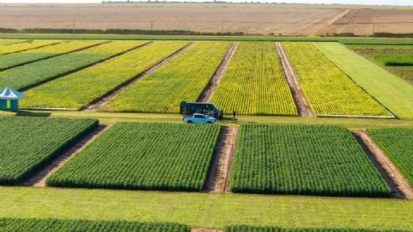 Centro de pesquisa da Aprosoja completa 10 anos e acumula estatísticas sobre comportamento da soja no solo de MT