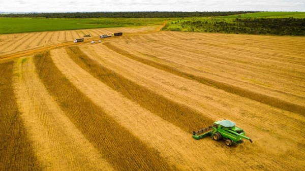 Mato Grosso bate novo recorde da soja e mantém liderança nacional pelo 26º ano