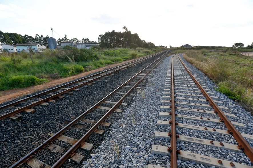STF valida lei que reduziu parque nacional para construir a Ferrogrão