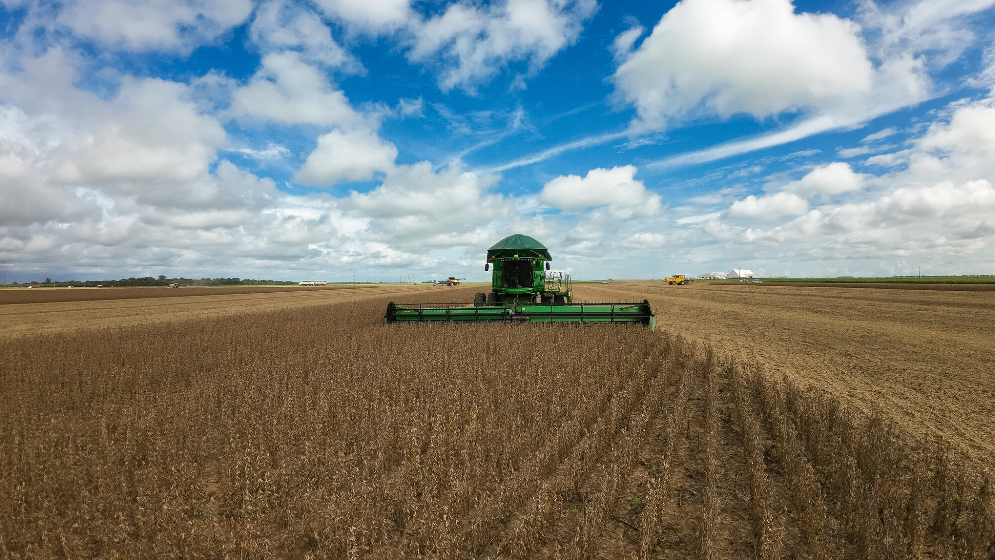 Sistema Famato | Agro impulsiona Mato Grosso à liderança da balança comercial brasileira no 1º quadrimestre, revela Imea