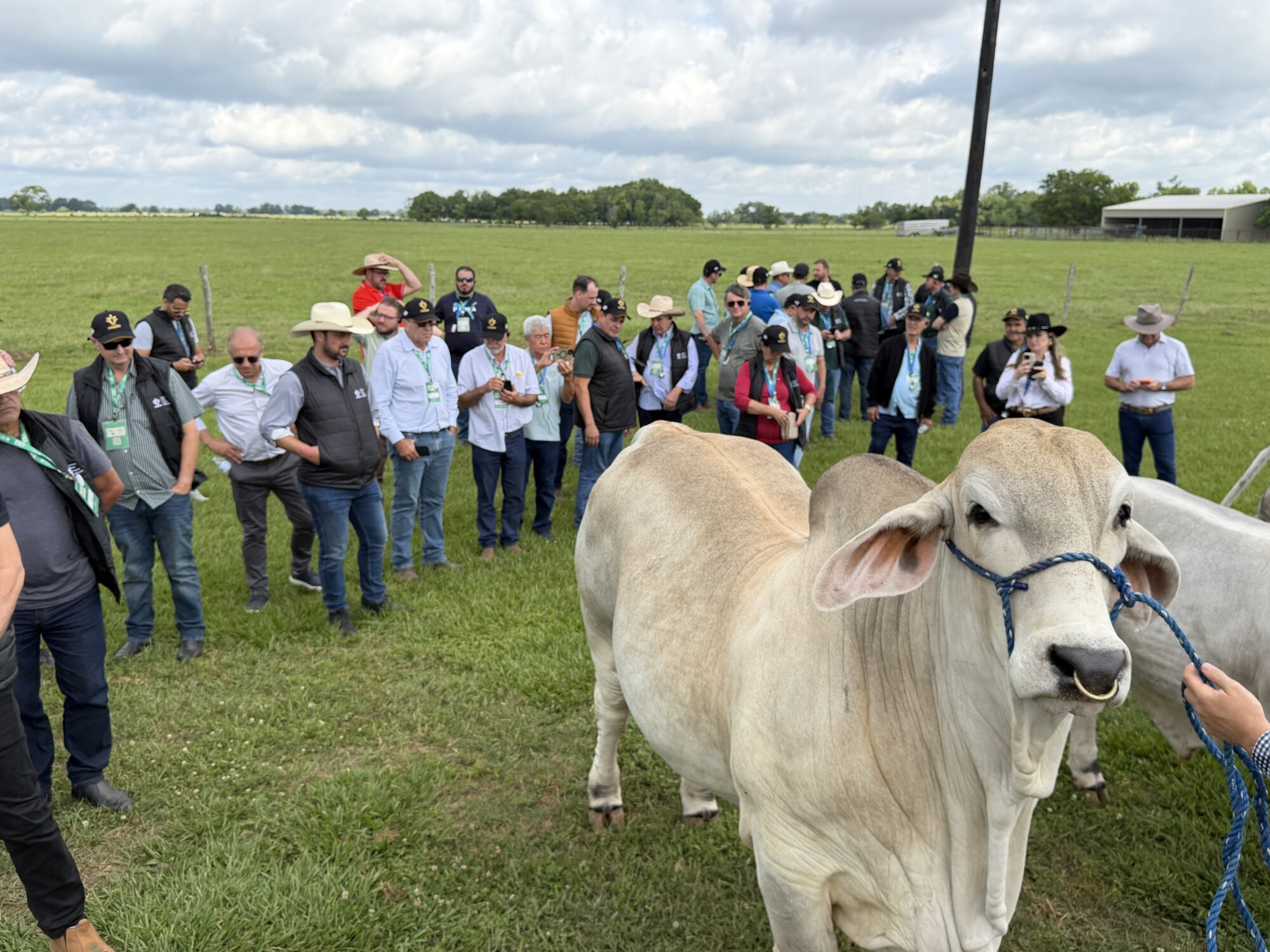 Sistema Famato | Produtores de Mato Grosso buscam no Texas genética e biotecnologia para impulsionar a pecuária