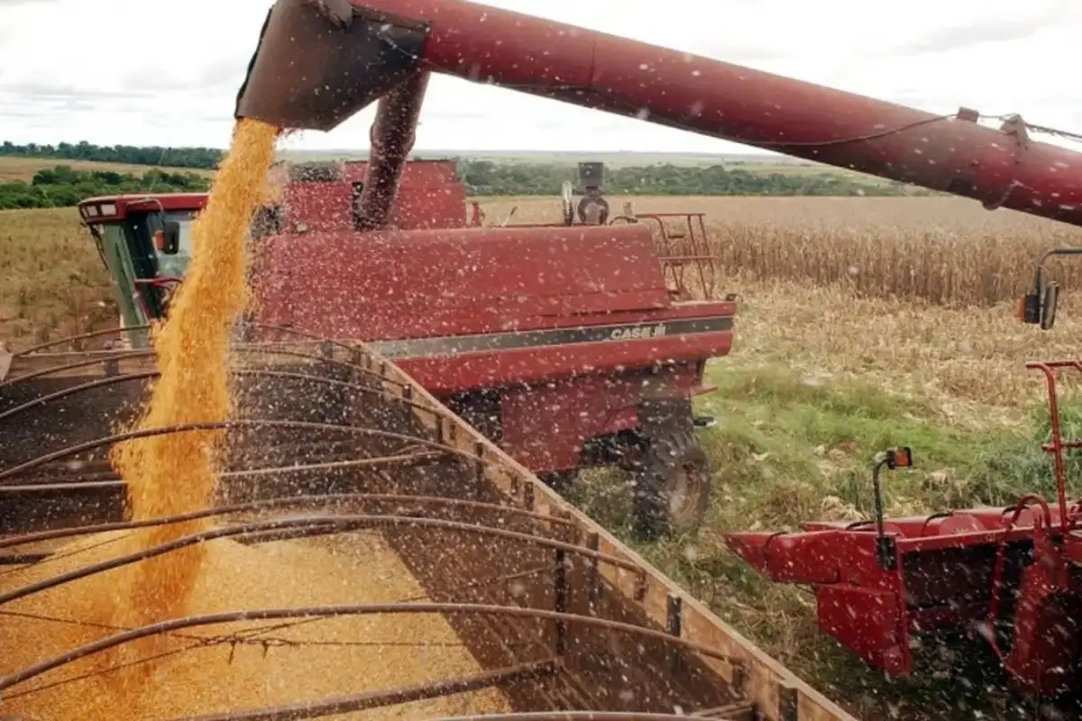 Colheita da soja alcança 97,1% da área em Mato Grosso do Sul