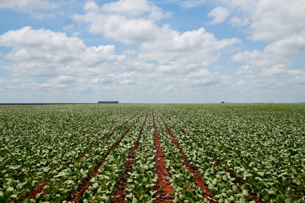 Sistema Famato | Produção de biodiesel cresce e Mato Grosso responde por 26% do volume nacional, aponta Imea