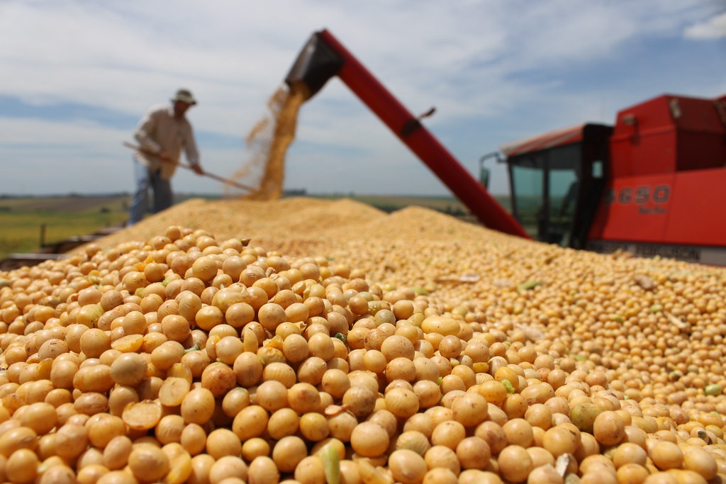 Sistema Famato | Soja terá custos maiores e cenário climático de incertezas na safra 26/27 em Mato Grosso, aponta Imea