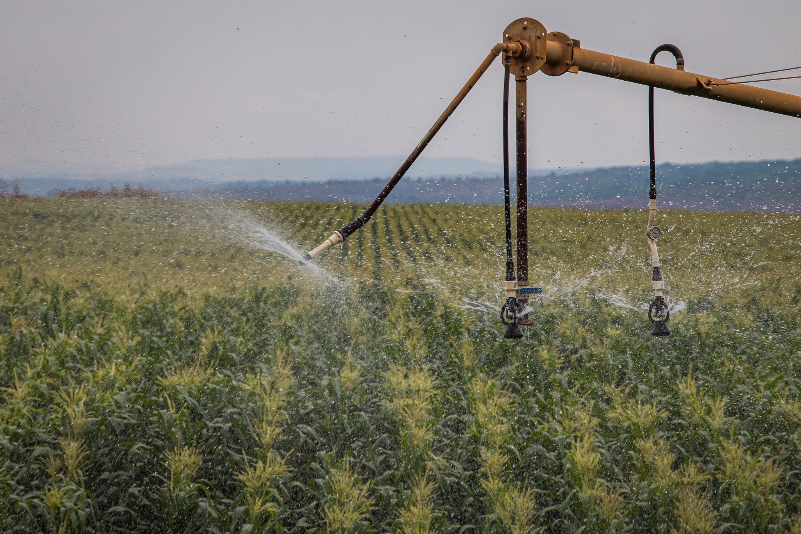 Sistema Famato | Sistema Famato informa novas regras para desconto na tarifa de energia elétrica para irrigação e aquicultura