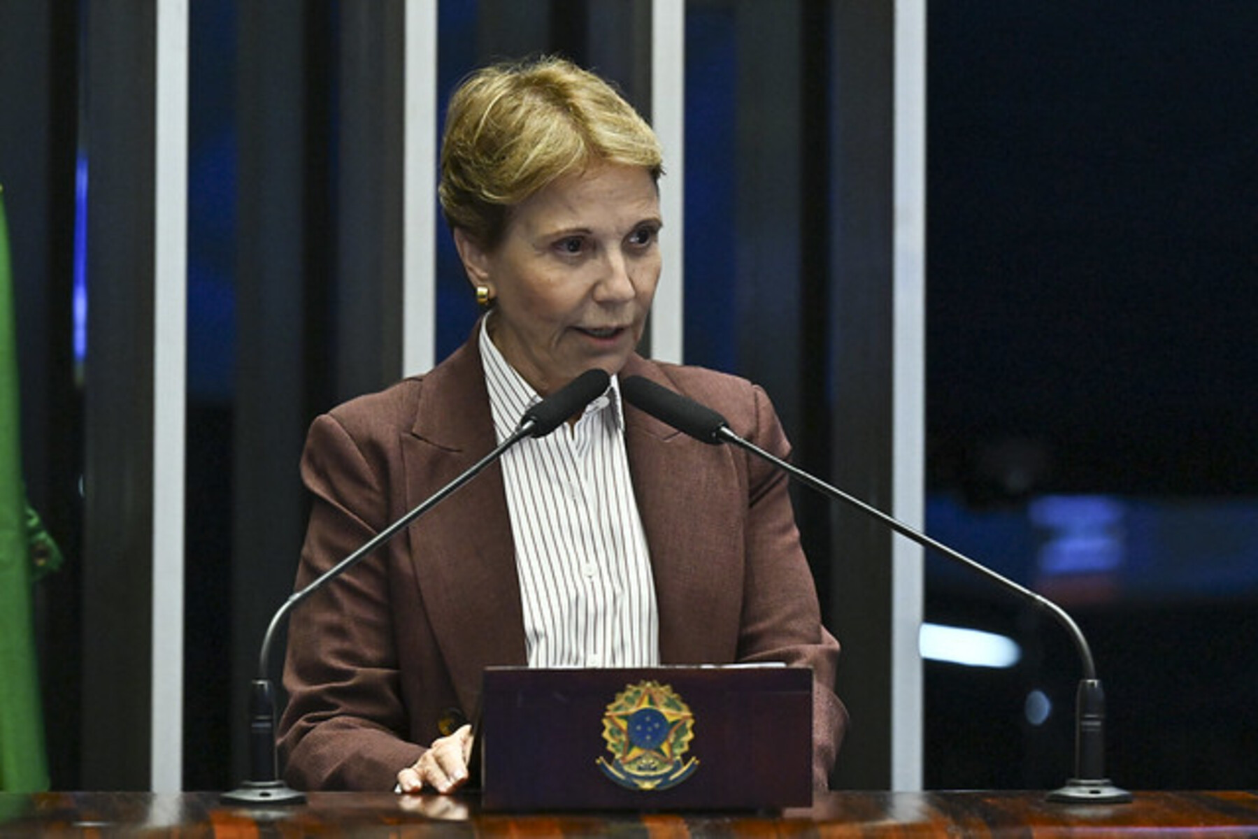 “Ainda não” é momento de aplicar Lei de Reciprocidade aos EUA, diz Tereza Cristina