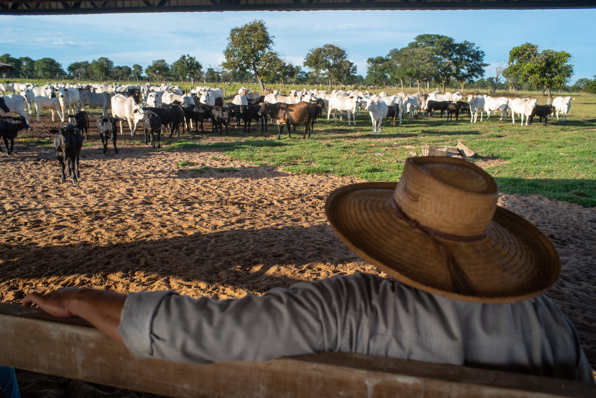 Sistema Famato | Obrigatoriedade de CNPJ para produtor rural é adiada para 2027; Sistema Famato orienta sobre mudanças