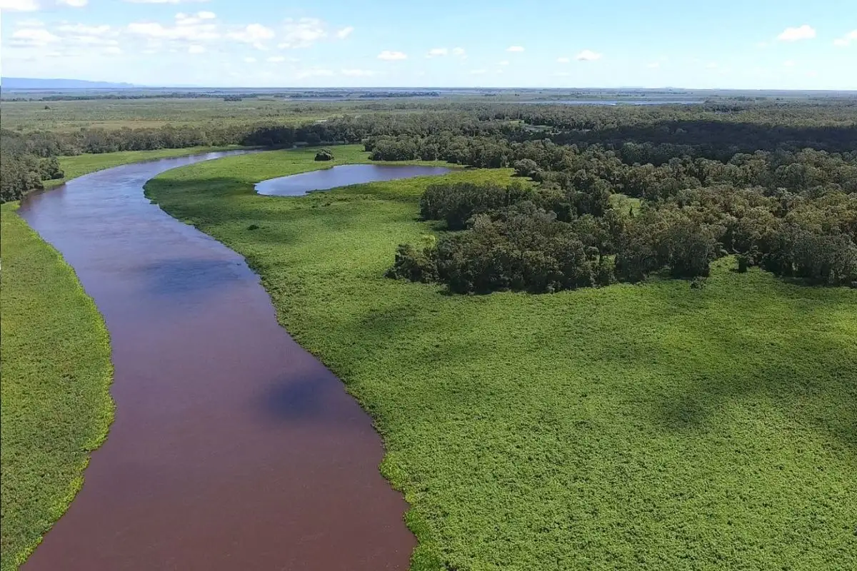 Decreto de Lula que ampliou áreas de reserva no Pantanal entre Cáceres e Poconé pode ser suspenso