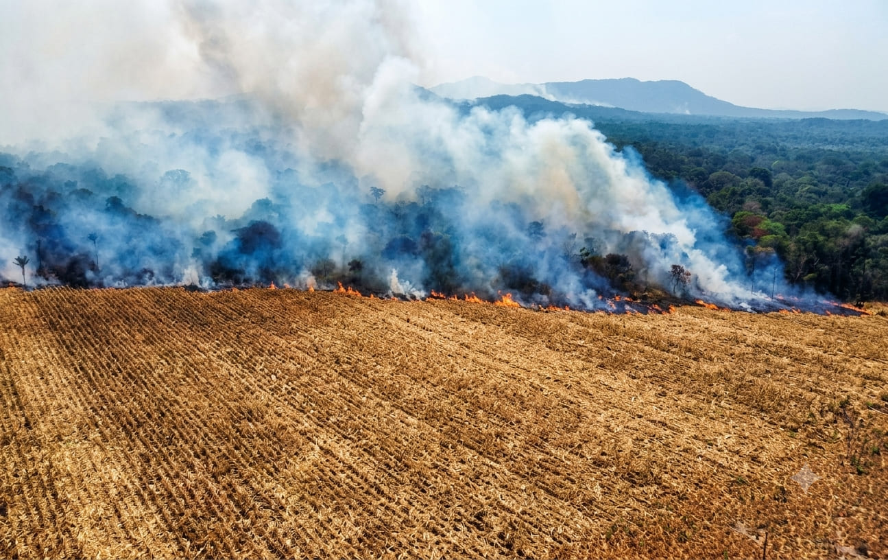 Sistema Famato | Famato destaca prevenção e orienta produtores sobre procedimentos em caso de incêndio