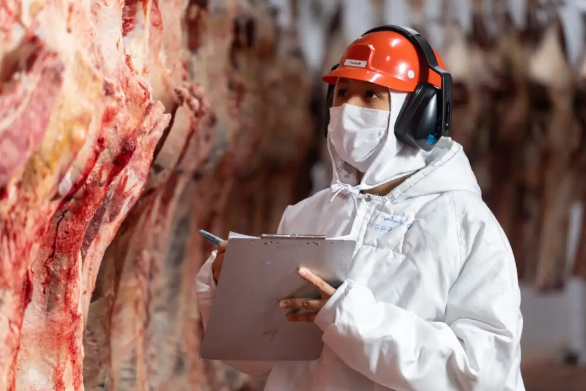 Tarifaço dos EUA atinge só 6% das exportações de Mato Grosso; carne e ouro escapam