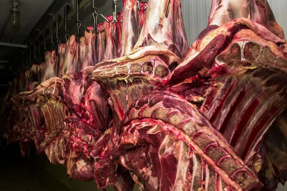 Governo chama de ‘inaceitável’ nova exigência da União Europeia para exportação de carnes