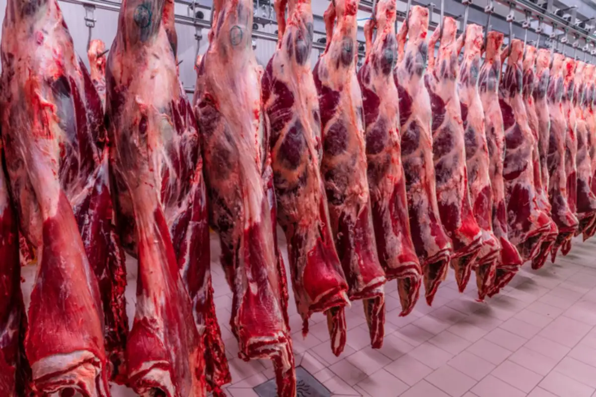 Vendas de carne bovina brasileira para a China movimentaram US$ 4,818 bilhões no primeiro semestre. - Foto: Reprodução