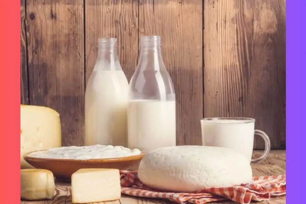 Mais da metade dos brasileiros pode desenvolver intolerância à lactose; saiba os sinais