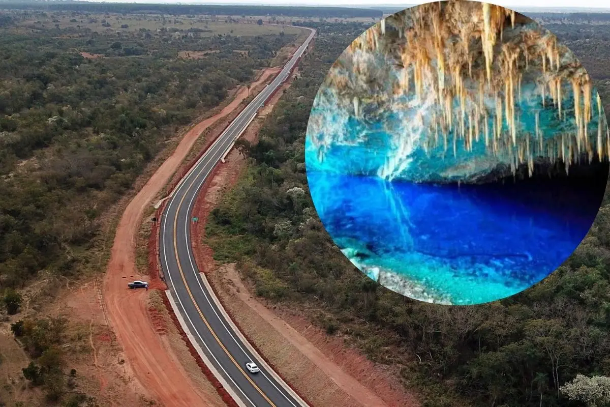 Rodovia para a Capital do Ecoturismo terá 27 km de cerca para evitar atropelamento de animais