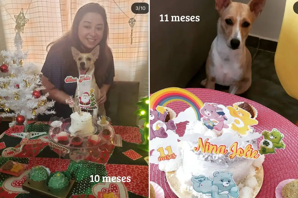 10 e 11 meses de nina jolie