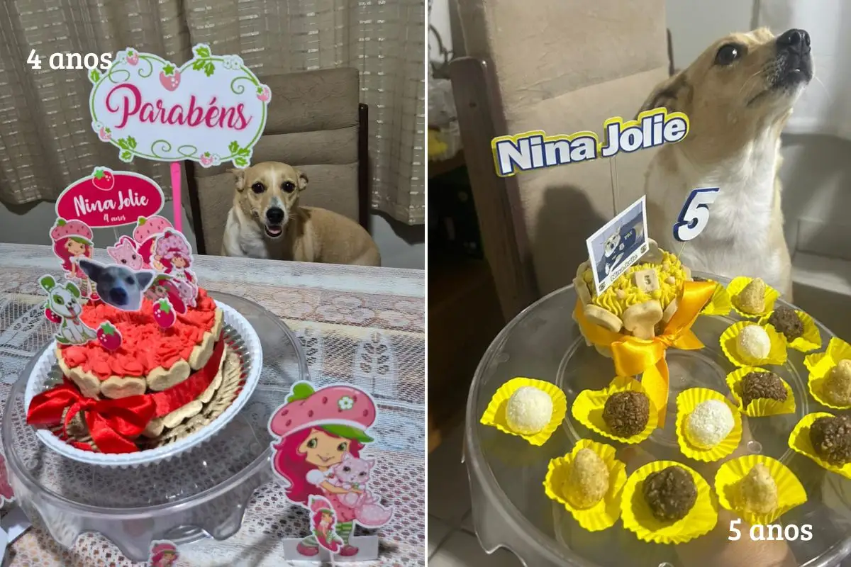 4 e 5 anos de nina jolie 1