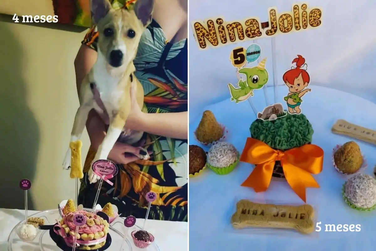 4 e 5 meses de nina jolie