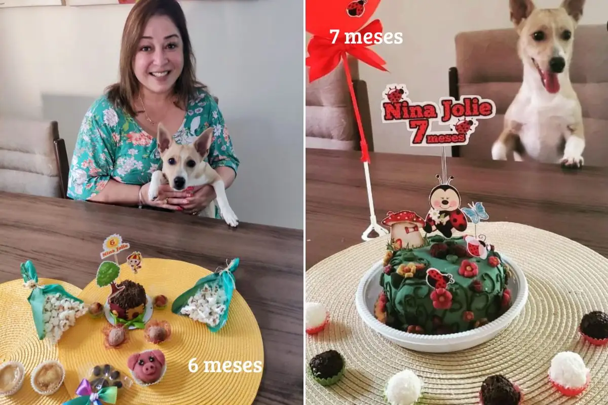 6 e 7 meses de nina jolie
