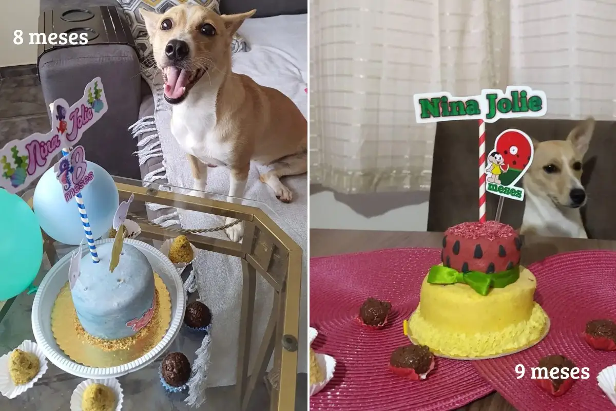 8 e 9 meses de nina jolie