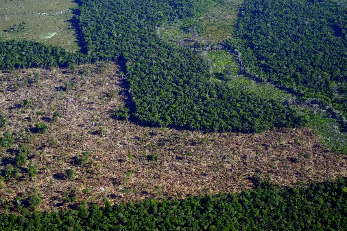DESMATAMENTO AMAZONIA 1