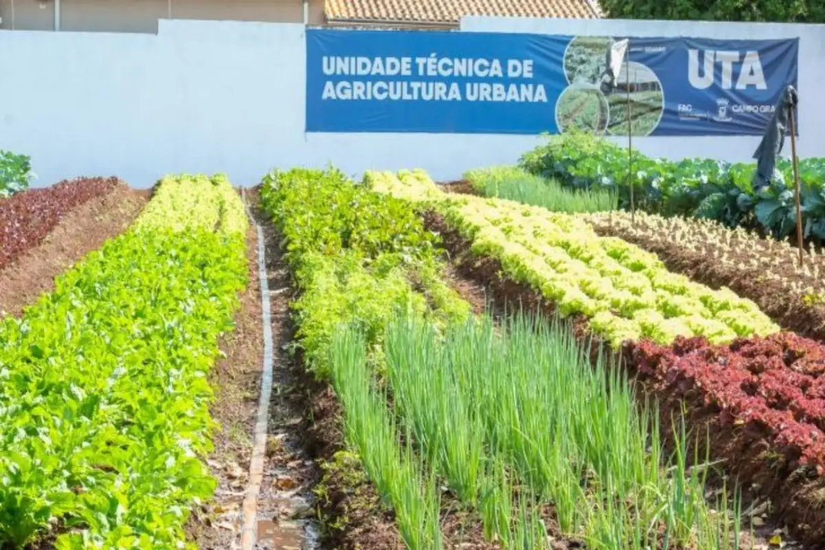 Horta urbana comunitária sustentável