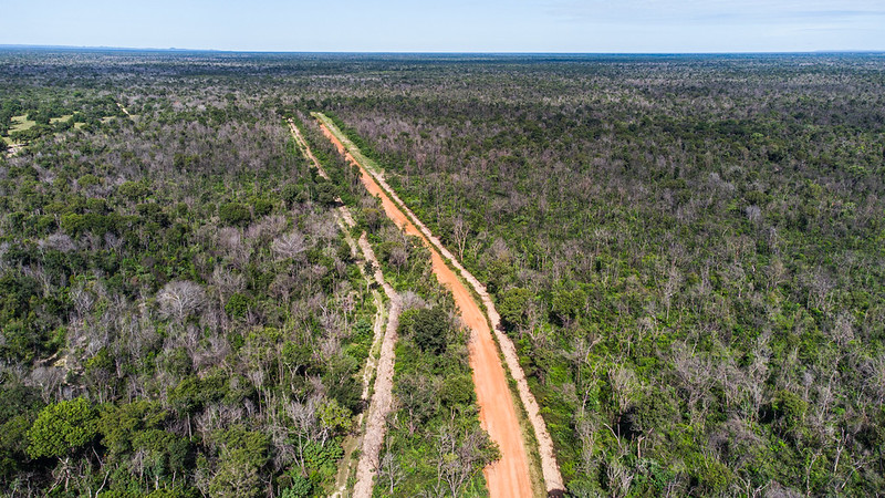 Sistema Famato | Regras para aceiros no Pantanal são atualizadas e passam a detalhar ações de prevenção e combate a incêndios
