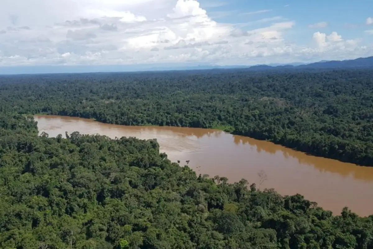 Multas ambientais poderão financiar recuperação de biomas brasileiros