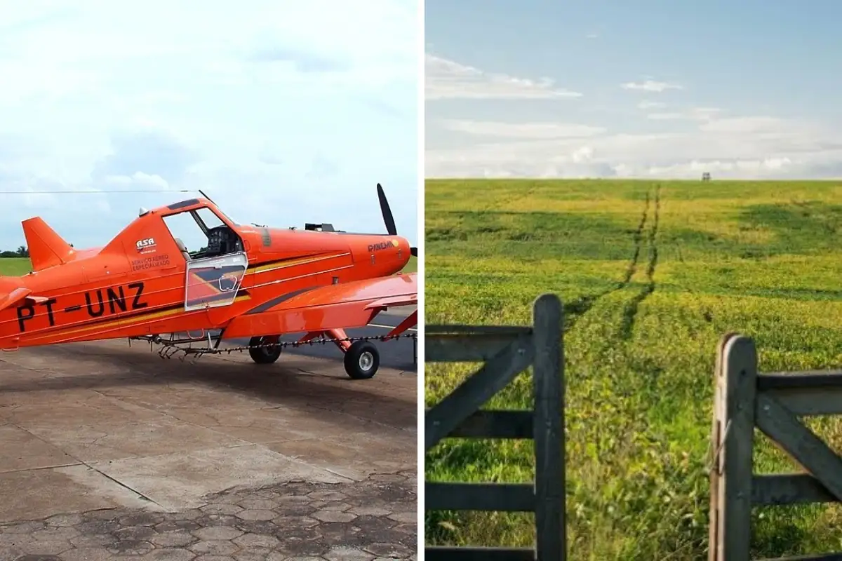 Avião de 1 centavo e propriedade rural de R$ 1: veja bens curiosos declarados por candidatos de MT