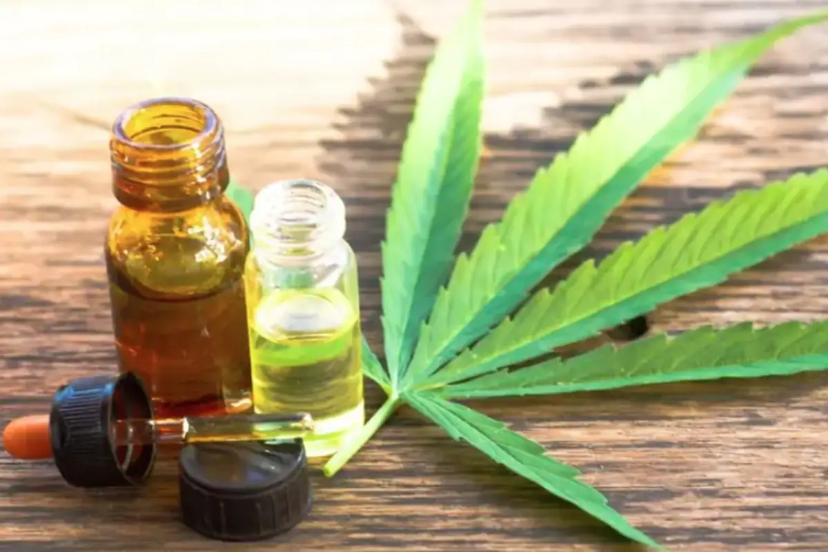Produtos derivados de cannabis têm comercialização proibida pela Anvisa