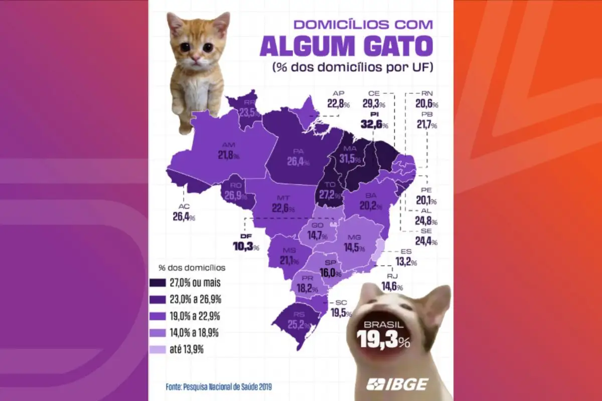 primeira pagina 2026 08 09T152837.208