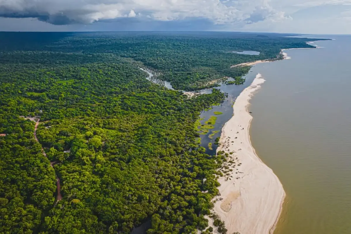 Ibama abre seleção de voluntários para projeto com quelônios no Pará
