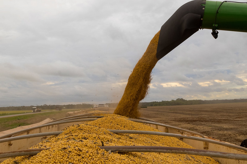 Sistema Famato | Maior esmagamento de soja em MT eleva exportações de farelo em 10,26% e de óleo em 26,76%, diz Imea
