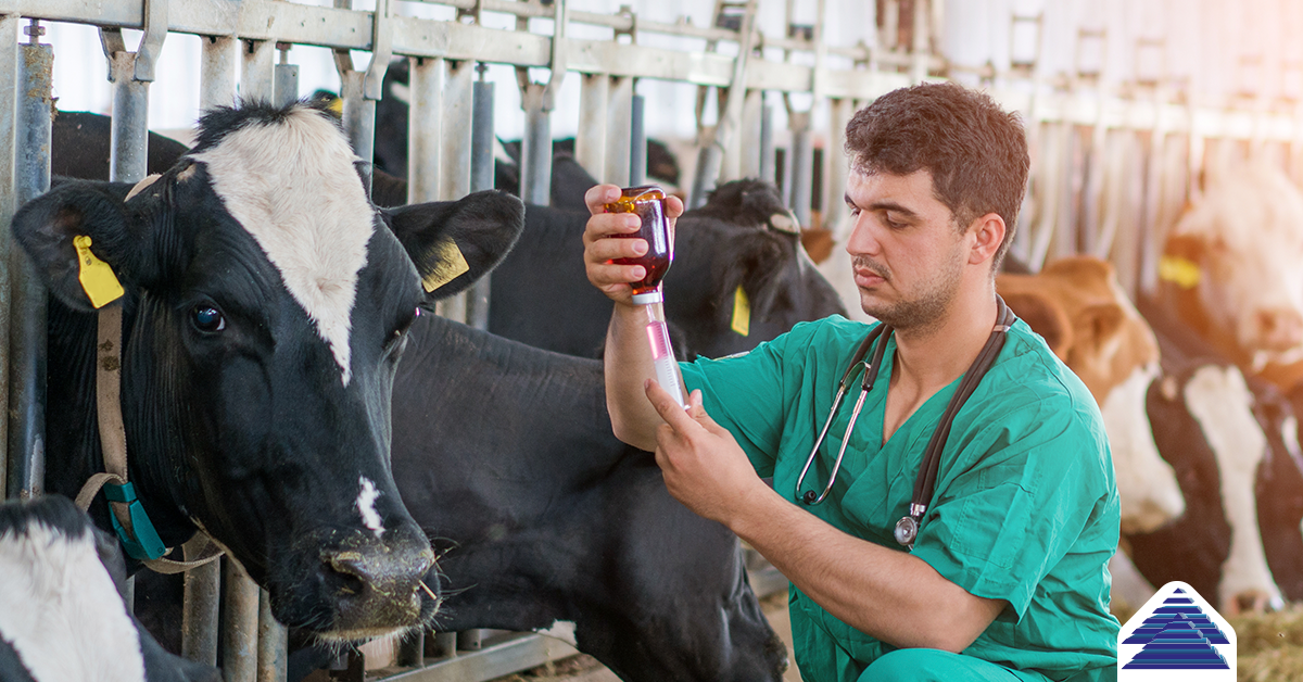 Sistema Famato | Médico-veterinário atua dentro e fora da porteira e fortalece a produção rural em Mato Grosso