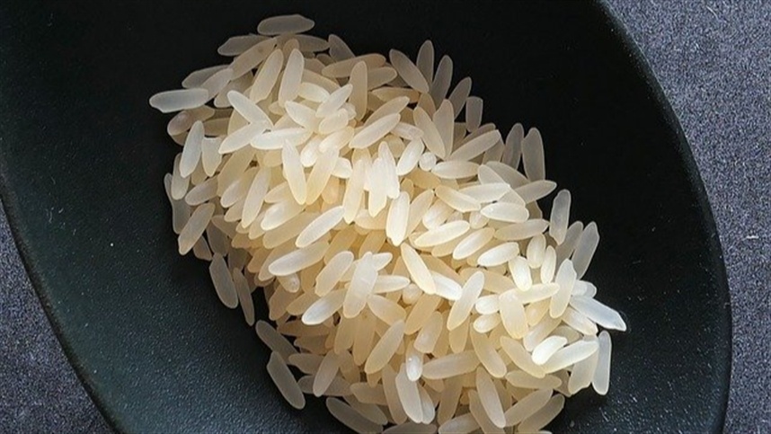 Safra de arroz 2026/27 tem previsão de 861 mil hectares no Rio Grande do Sul