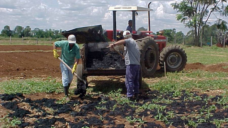 Pesquisa da Embrapa e Sabesp transforma lodo em fertilizante de liberação lenta