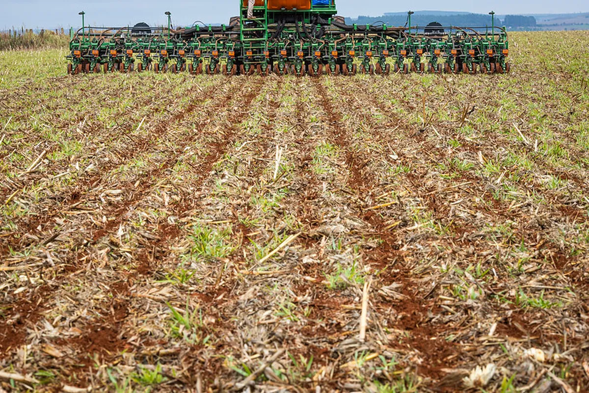 Chuvas limitam avanço do plantio de soja no Rio Grande do Sul