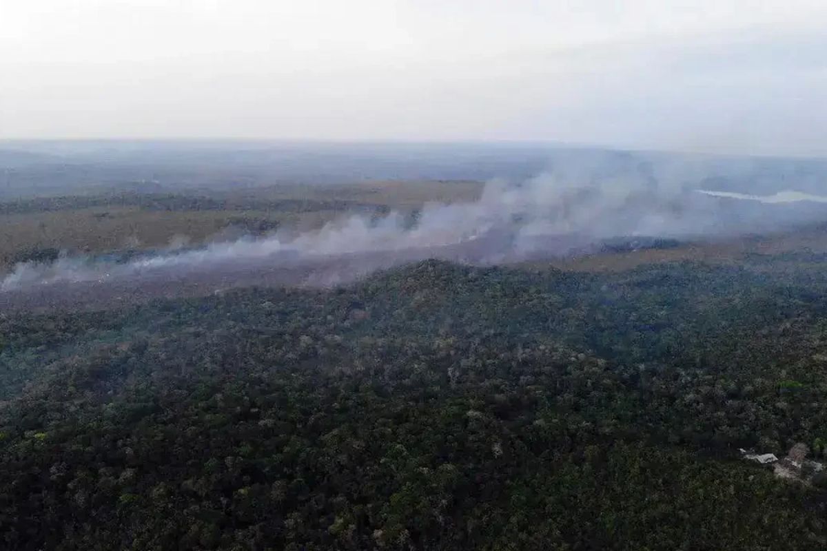 Pará registra 321 incêndios e recebe reforço de brigadistas. - Foto: Brigada de Alter do Chão (PA)/ Divulgação