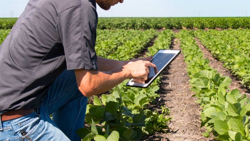 Rastreabilidade vira desafio para o agronegócio