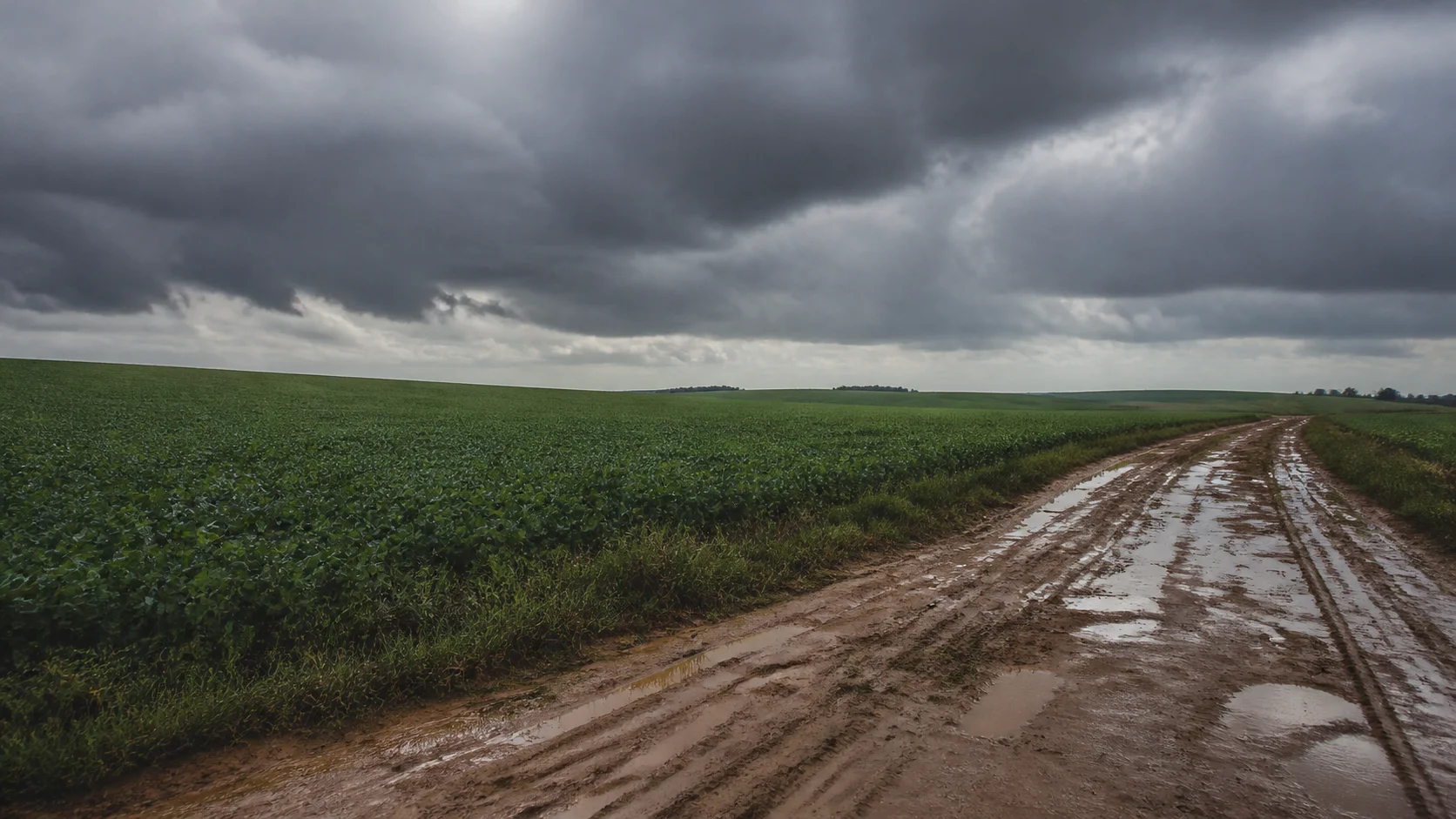 Chuva pode chegar a 103 mm em 48 horas em Mato Grosso do Sul