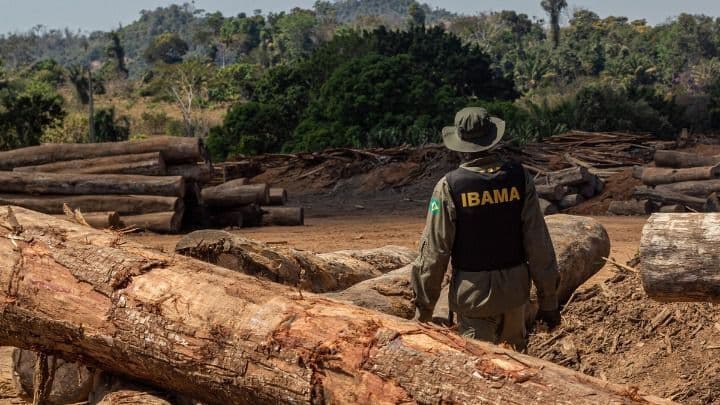 10:58 – 
							Justiça anula multa ambiental e extingue execução fiscal de R$ 91 mil