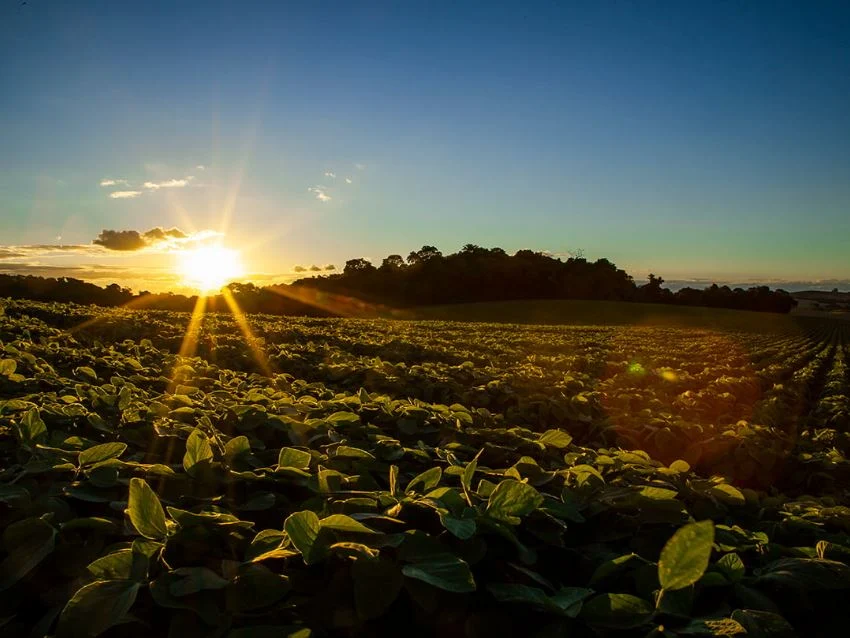 CNA apresenta documento com 8 propostas e prioridades para o agro na COP 31